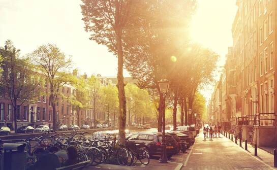 Jak zorganizować transport bagażowy na terenie w mieście?