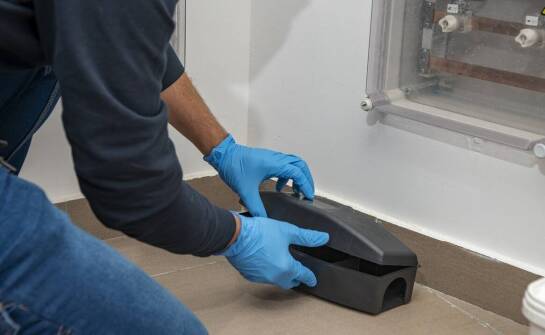 Jakie są etapy profesjonalnej deratyzacji i co obejmuje nasza oferta?