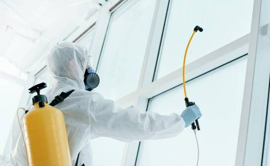 Jak deratyzacja wpływa na sanitarne bezpieczeństwo w firmach?