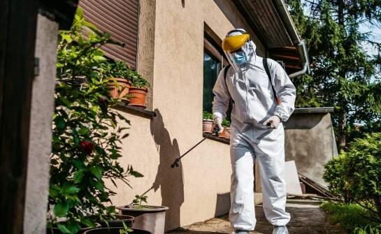 Deratyzacja a ochrona zdrowia publicznego – znaczenie dla mieszkańców w miastach