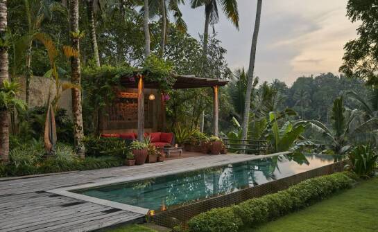 Jak wybrać idealną palmę do ogrodu, aby stworzyć oazę egzotyczną?