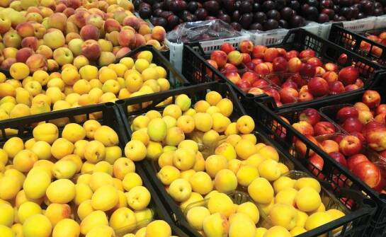 Jakie są główne korzyści z użytkowania transportowych koszy w transporcie artykułów spożywczych?