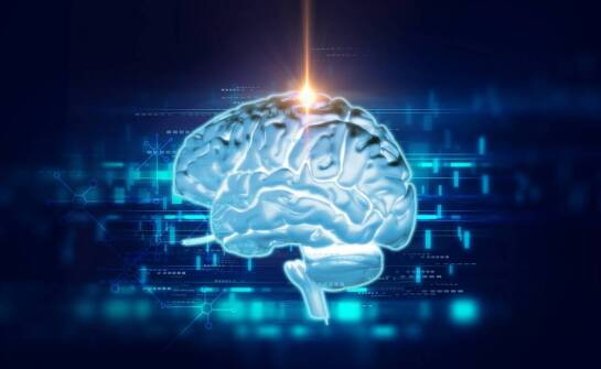 Znaczenie neurogenezy w procesie odzyskiwania funkcji czuciowo-ruchowych