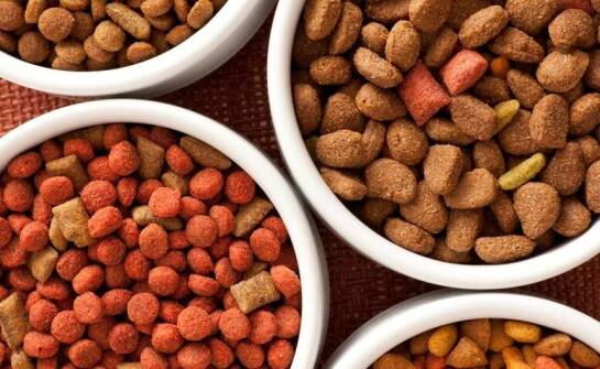 Zalety karmy Naturea w diecie kotów i psów: zdrowie i smak