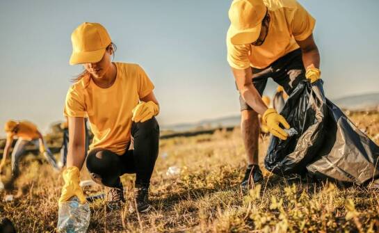 Ekologiczne pogotowie – kluczowy element każdej strategii zrównoważonego rozwoju