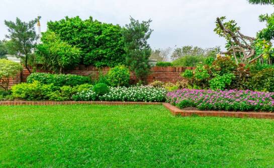 Czym różnią się mieszanki traw przeznaczone na miejsca nasłonecznione?