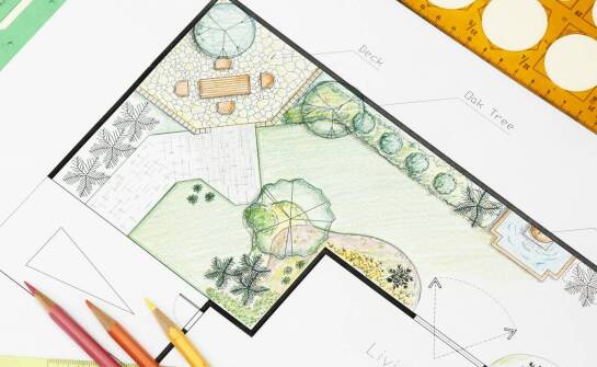 Proces uzyskiwania zezwoleń na wycinkę drzew: co warto wiedzieć