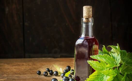 Karłowa morwa czarna – idealny wybór do małych ogrodów