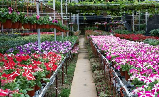 Jakie korzyści przynosi kontakt z naturą w niepublicznym żłobku?