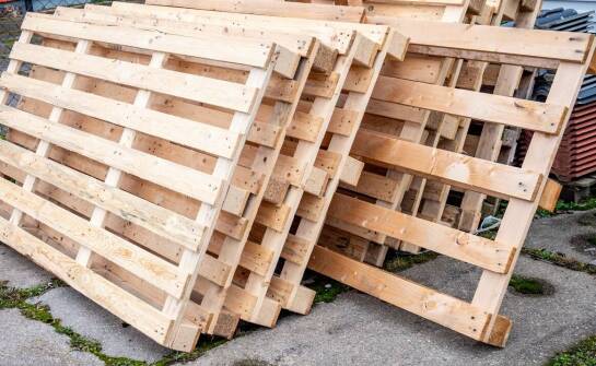 Dlaczego warto inwestować w ekologiczne rozwiązania w branży paletowej?