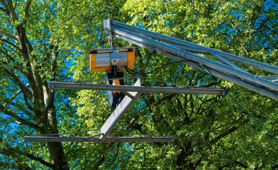 Nowoczesne technologie w przesadzaniu drzew – co warto wiedzieć?