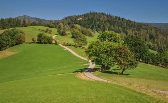 Jakie korzyści niesie zakup rekreacyjnej działki w okolicach Żywca?
