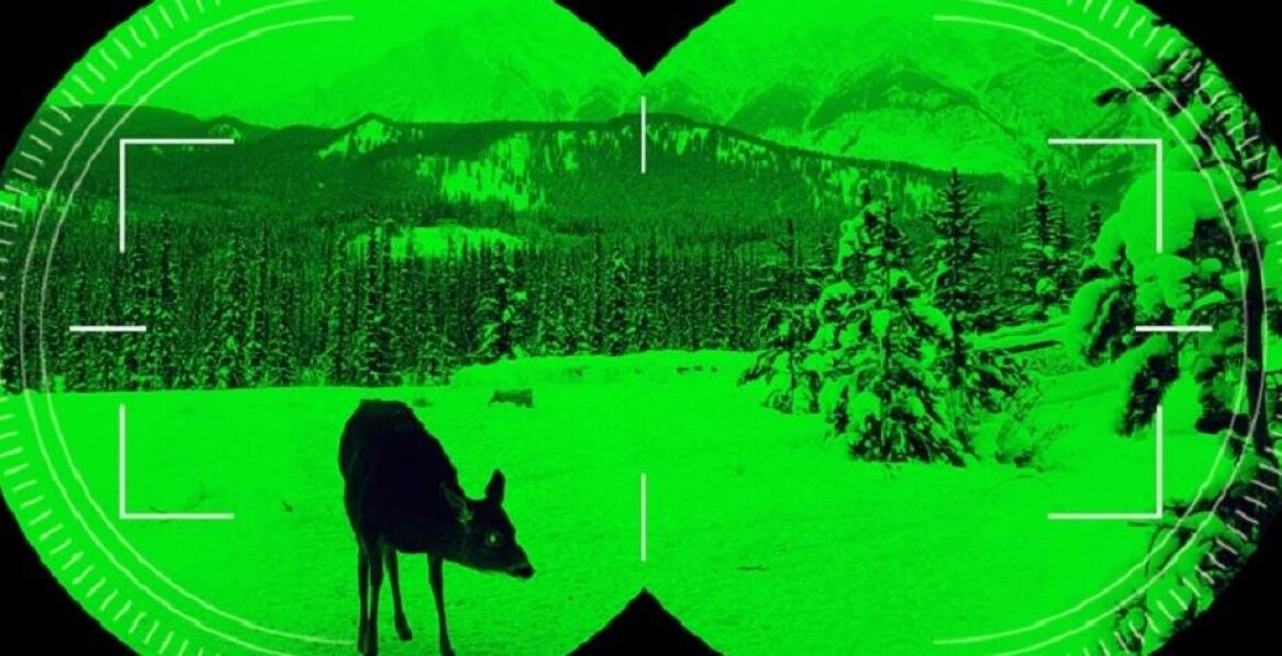 Sprzęt noktowizyjny: Jak poprawić widoczność w nocy?