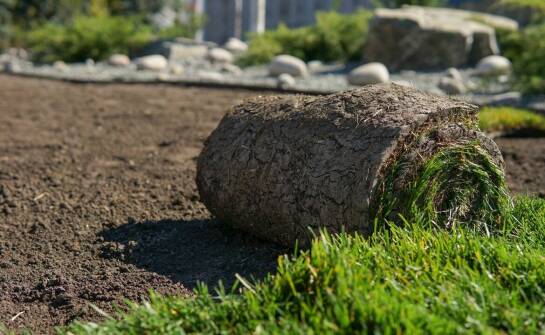 Trawa z rolki a jej rola w ochronie przed erozją gleby
