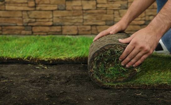 Jak trawa w rolce przyczynia się do redukcji wysp ciepła w miastach?