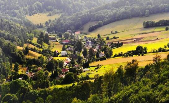 Dlaczego warto korzystać z usług majątkowego rzeczoznawcy w województwie dolnośląskim?