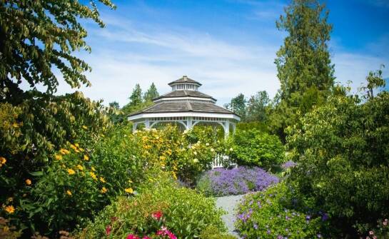 Jak prywatny dom seniora w Trójmieście wspiera fizyczną aktywność mieszkańców?