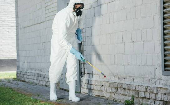 Jakie technologie nowoczesne zwiększają skuteczność deratyzacji?