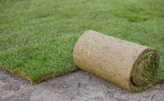 Trawa z rolki - co warto wiedzieć przed jej zakupem i montażu?