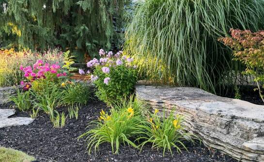 Jakie czynniki uwzględnić przy wyborze renowacyjnej trawy do swojego ogrodu?