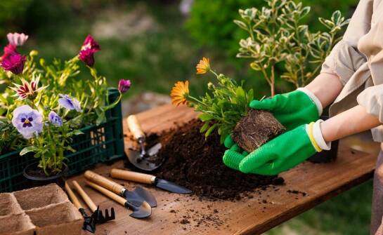 Przewodnik po wyborze dostępnych ogrodniczych narzędzi w naszej ofercie