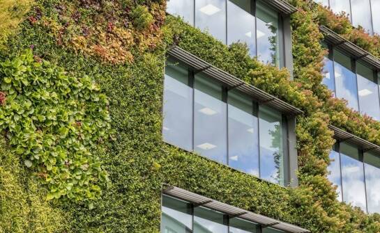 Projektowanie przemysłowych hal z uwzględnieniem zasad ekologii