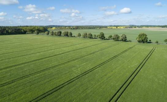 Jakie korzyści przynosi profesjonalna wycena rolnych gruntów?