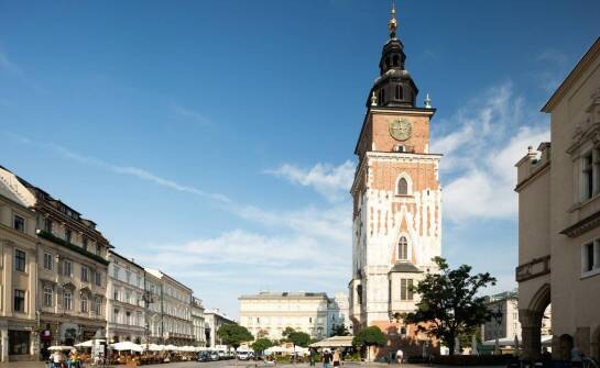 Dlaczego długie doświadczenie firm przewozowych w Krakowie ma znaczenie?