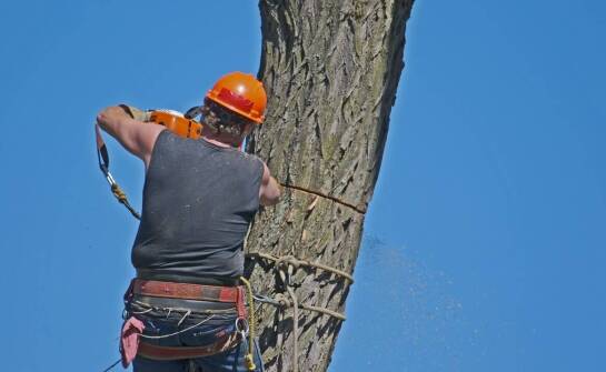Lonża wspinaczkowa a jej wpływ na efektywność asekuracji