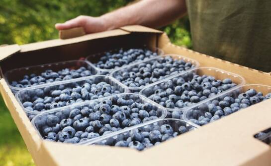 Gdzie kupić polskie superowoce o jakości premium?