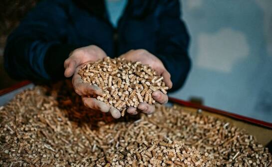 Jakie są kluczowe właściwości drzewnych palet oferowanych jako pellet?