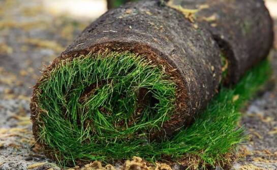 Odcinana od gruntu trawa jako wsparcie dla projektów ekologicznych