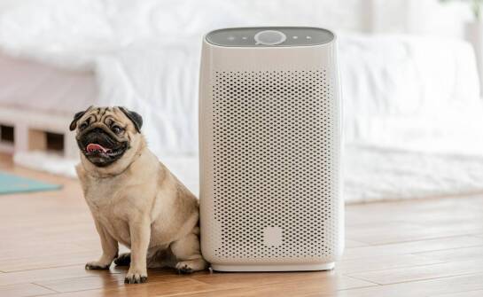 Oczyszczacze powietrza jako wsparcie dla alergików w zaciszu domowym