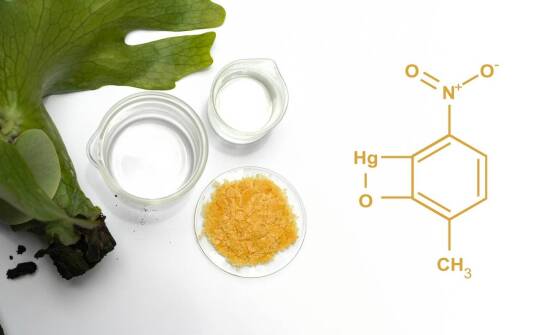 Praktyczne aspekty stosowania wlewów z kurkuminy w terapii nowotworowej