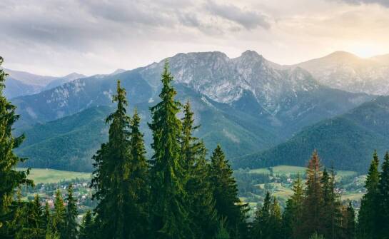 Domki w Zakopanem z możliwością przyjazdu z pupilem: wakacje ze zwierzakiem