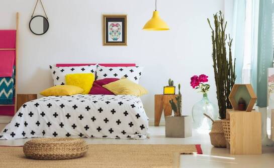 Wykorzystanie żywych mini kaktusów w minimalistycznej aranżacji