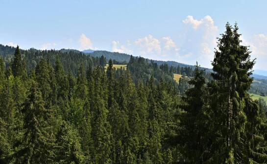 Skałki na karpatce – doskonałe miejsce dla miłośników przyrody.