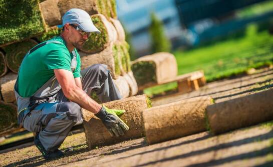 Profesjonalne doradztwo w zakresie wyboru trawy w rolkach