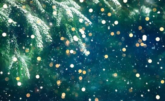 Jak przygotować wysokie zewnętrzne donice na zimowe miesiące?