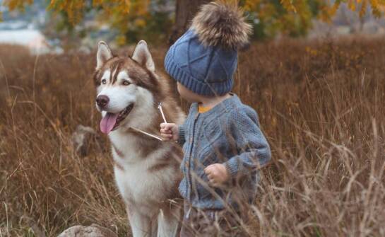 Przewodnik po najmodniejszych kurtkach chłopięcych na sezon zimowy