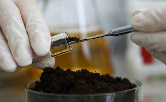 Nowoczesne metody remediacji gleb – przegląd rozwiązań i ich efektywności