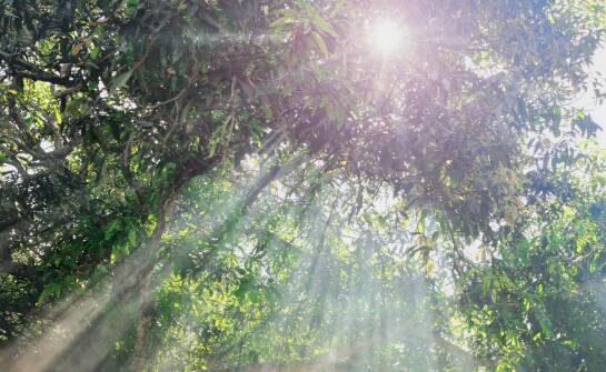 Dlaczego warto rozważyć detoksykację przed rozpoczęciem terapii dla hazardu?