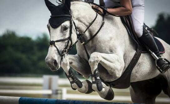 Dlaczego hala B to miejsce, które musisz odwiedzić?
