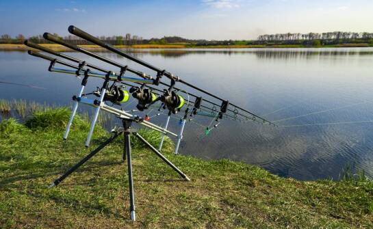 Zastosowanie narzędzi do połowu w stawach w praktyce.