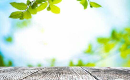 Jak cieszyć się smakiem dzięki stewii bez wyrzutów sumienia?