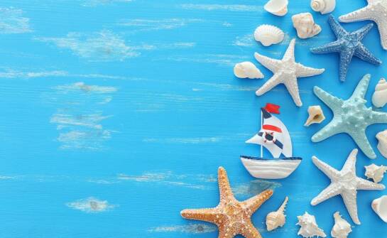 Jak muszle mogą wzbogacić ofertę w Twoim sklepie z pamiątkami?