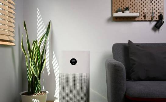 Efektywność ozonowania w usuwaniu alergenów z pomieszczeń.