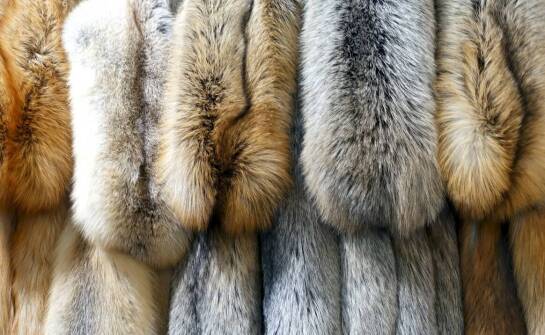 Dlaczego warto inwestować w futrzarską odzież wysokiej jakości?