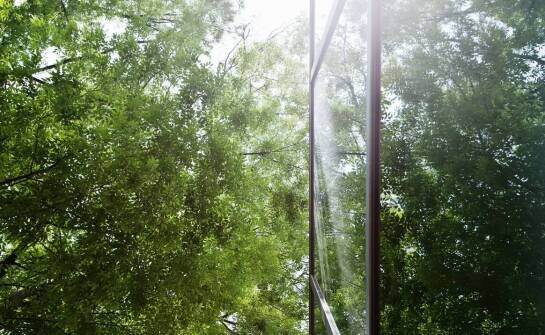 Wpływ leśnej siatki na ochronę przyrody i jej zastosowanie w ekologicznych projektach