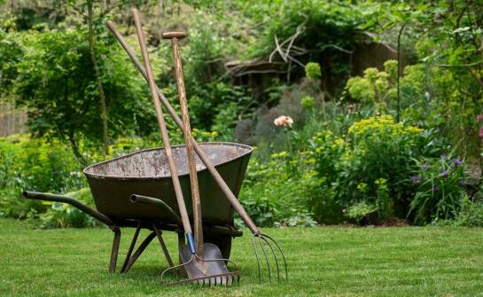 Zrównoważone praktyki pielęgnacyjne dla długowieczności trawnika z rolki.